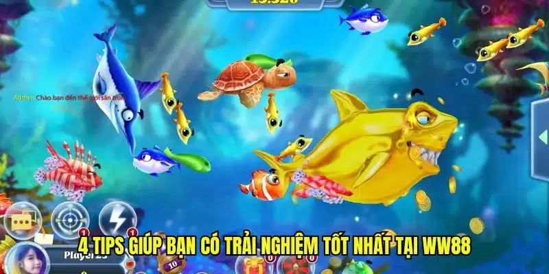 4 tips giúp bạn có trải nghiệm tốt nhất tại ww88