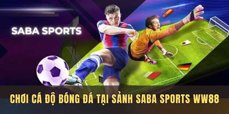 Cách chơi bóng đá tại saba sports