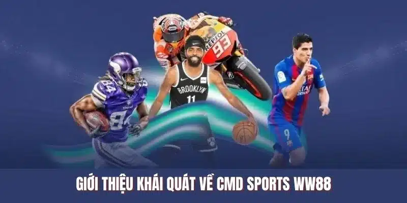 Giới thiệu khái quát về CMD Sports WW88