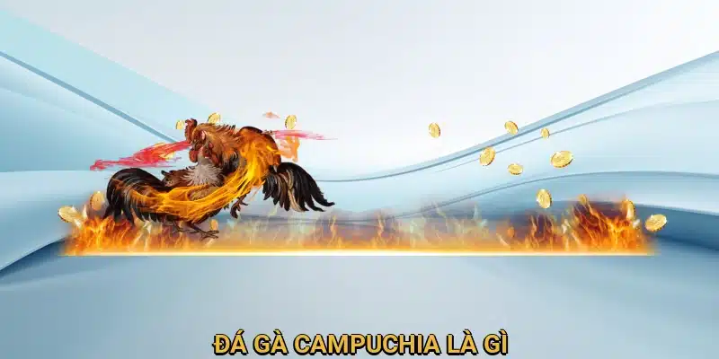 Giới thiệu Đá gà Campuchia