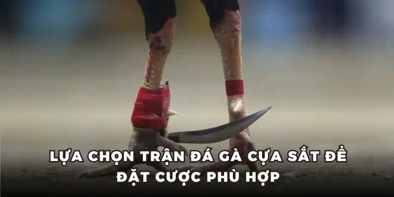 Lựa chọn trận đá gà cựa sắt để đặt cược phù hợp