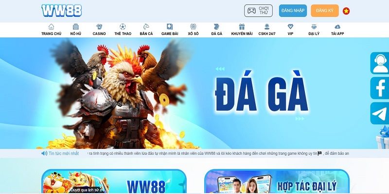 Những tính năng nổi bật tại đá gà WW88