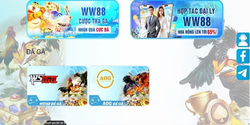 Khám phá những hình thức đá gà WW88 quen thuộc và thú vị nhất