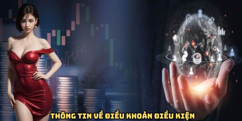 Thông tin về điều khoản điều kiện