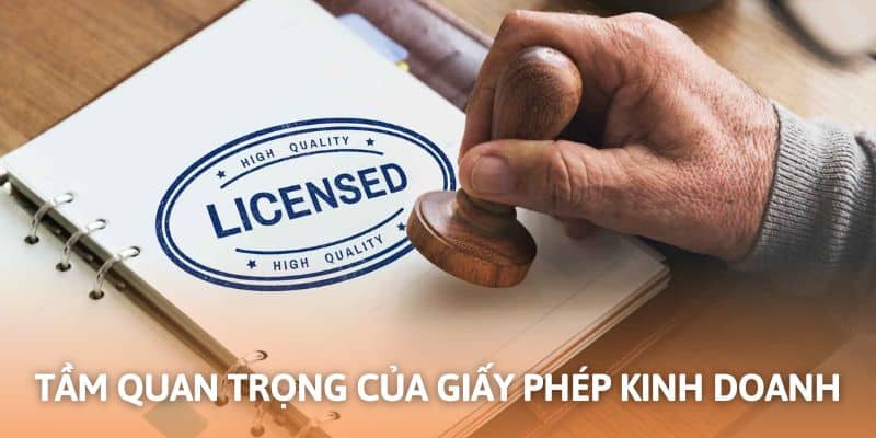 Tài liệu hoạt động hợp pháp đều đóng vai trò quan trọng với mỗi website