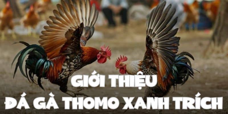 Giới thiệu về bộ môn Thomo xanh trích