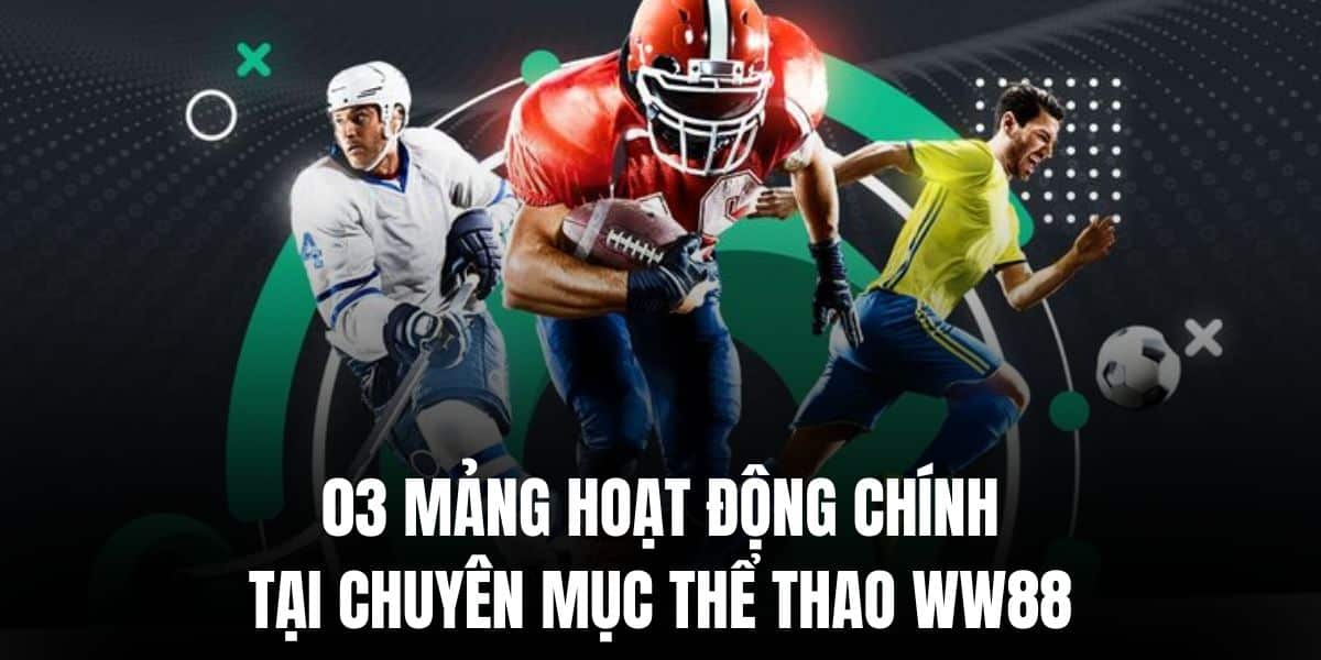 Những mảng hoạt động chủ yếu tại chuyên mục này