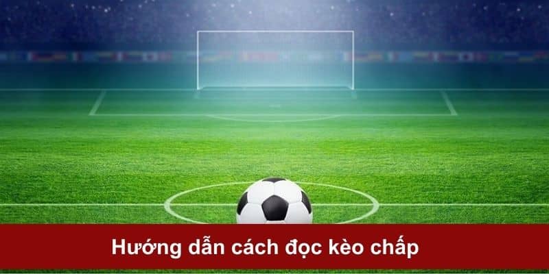 Nắm bắt các thuật ngữ quan trọng tại Handicap