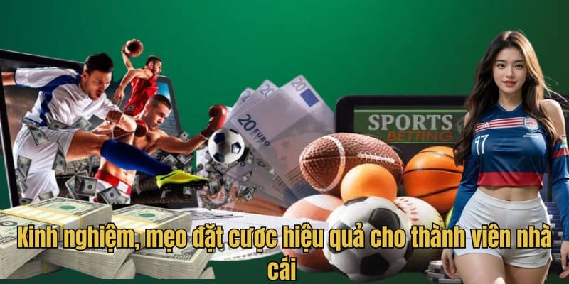 Kinh nghiệm, mẹo đặt cược hiệu quả cho thành viên nhà cái