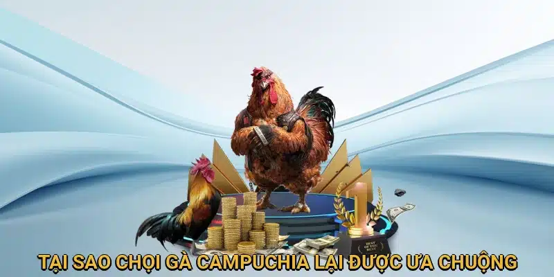 Điểm thu hút khó cưỡng của chọi gà Campuchia