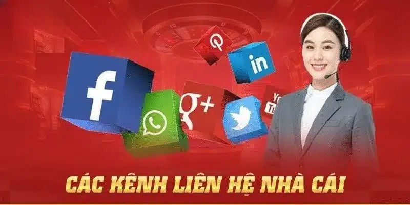 Vài điểm cần chú ý trong quá trình kết nối hỗ trợ